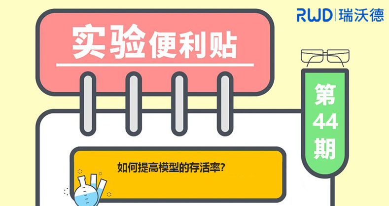 如何提高模型的存活率？