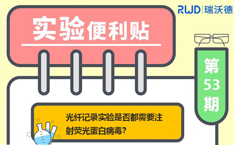 光纤记录实验是否都需要注射荧光蛋白病毒？