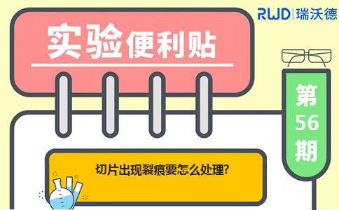切片出现裂痕要怎么处理？