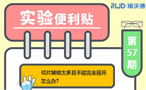 切片皱褶太多且不能完全展开怎么办？