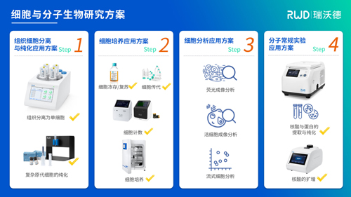 姜道华/赵岩团队揭示大脑神经递质转运体VMAT2的转运及药物抑制的分子机制