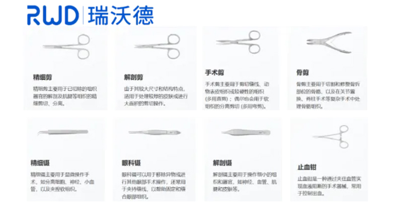 必威官方首页官网betway切片机使用前的样本处理——小动物不同组织取材与固定