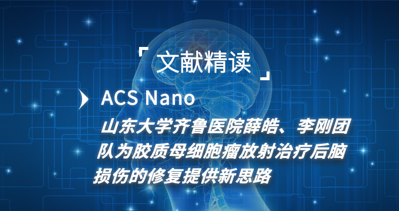 胶质母细胞瘤放射治疗后脑损伤的修复
