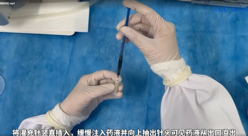 Ang Ⅱ诱导C57BL/6小鼠高血压造模全流程